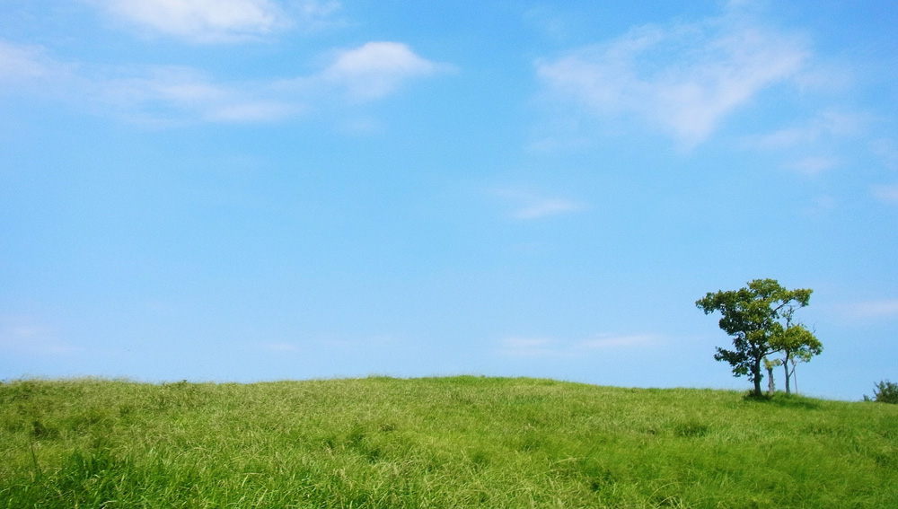 �ۡ���ڡ���������.net